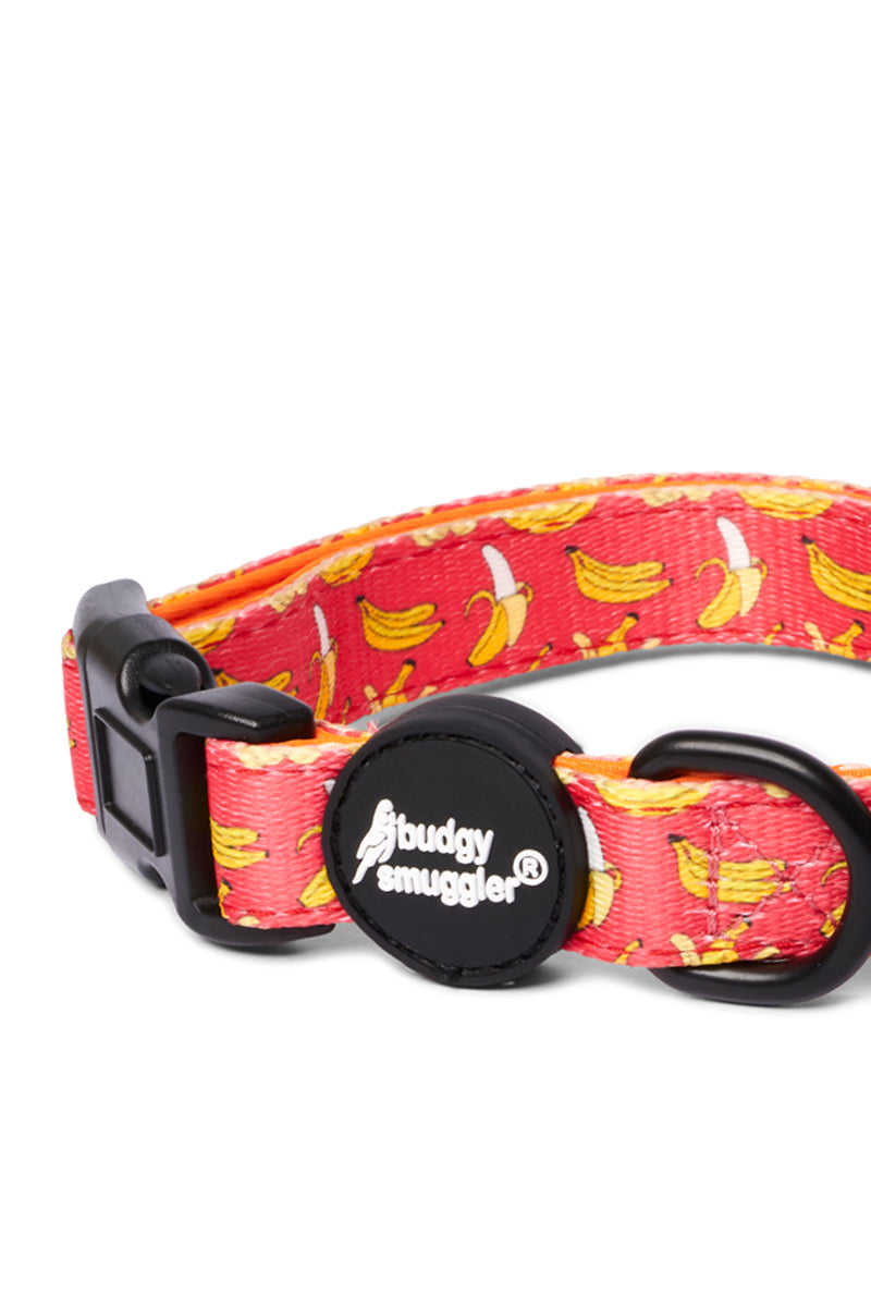 Banana Pet Collar