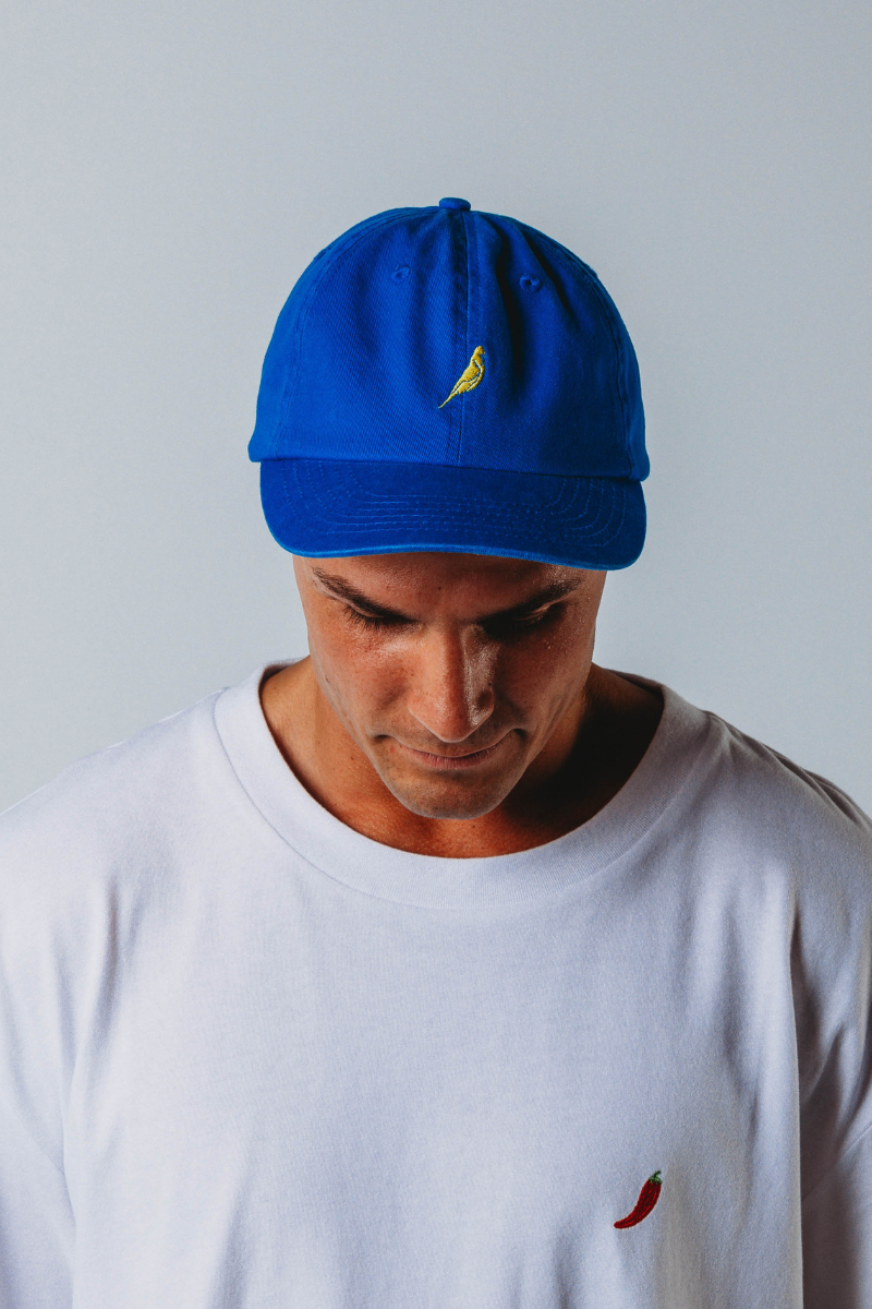 Budgy Blue Cap