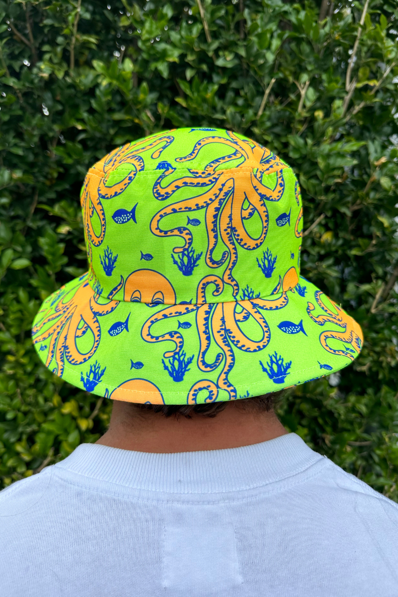 Bob 2.0 in Octopus
