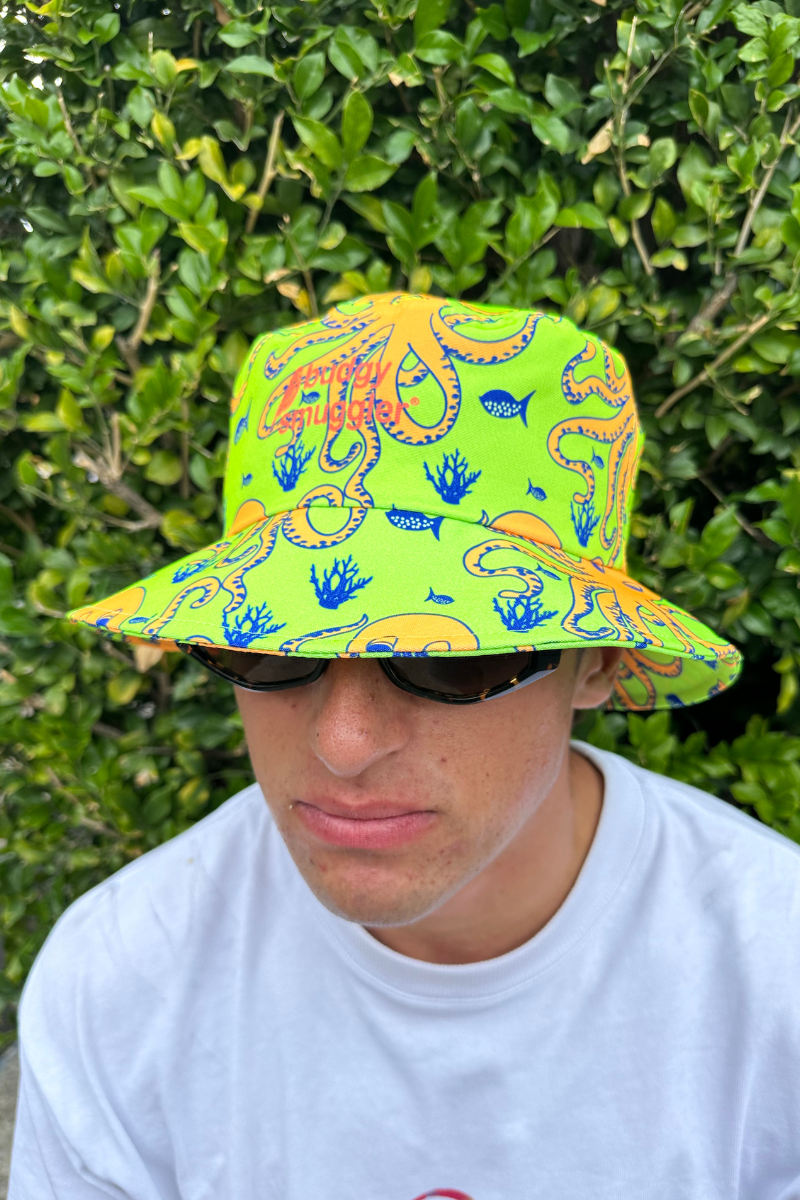 Bob 2.0 in Octopus