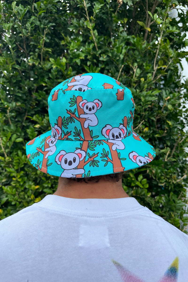 Bob 2.0 as a Koala