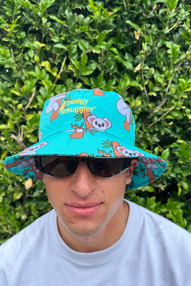 Bob 2.0 as a Koala