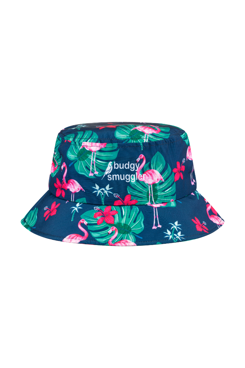 Bob 2.0 in Flamingos