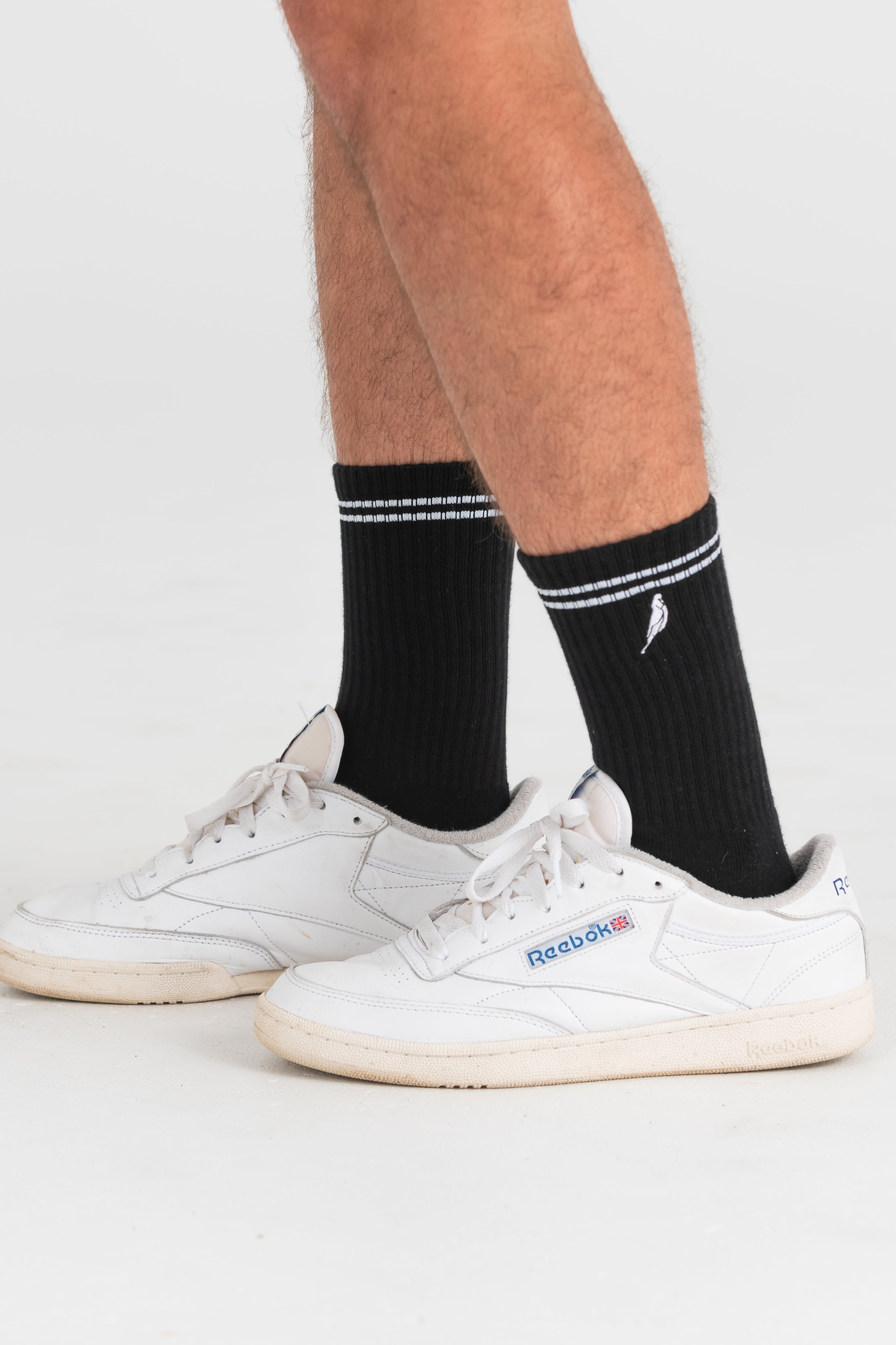 Black Budgy Socks