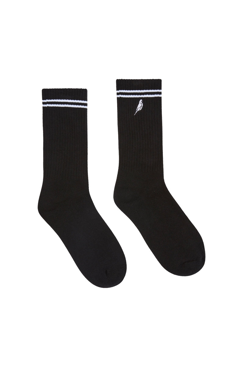 Black Budgy Socks