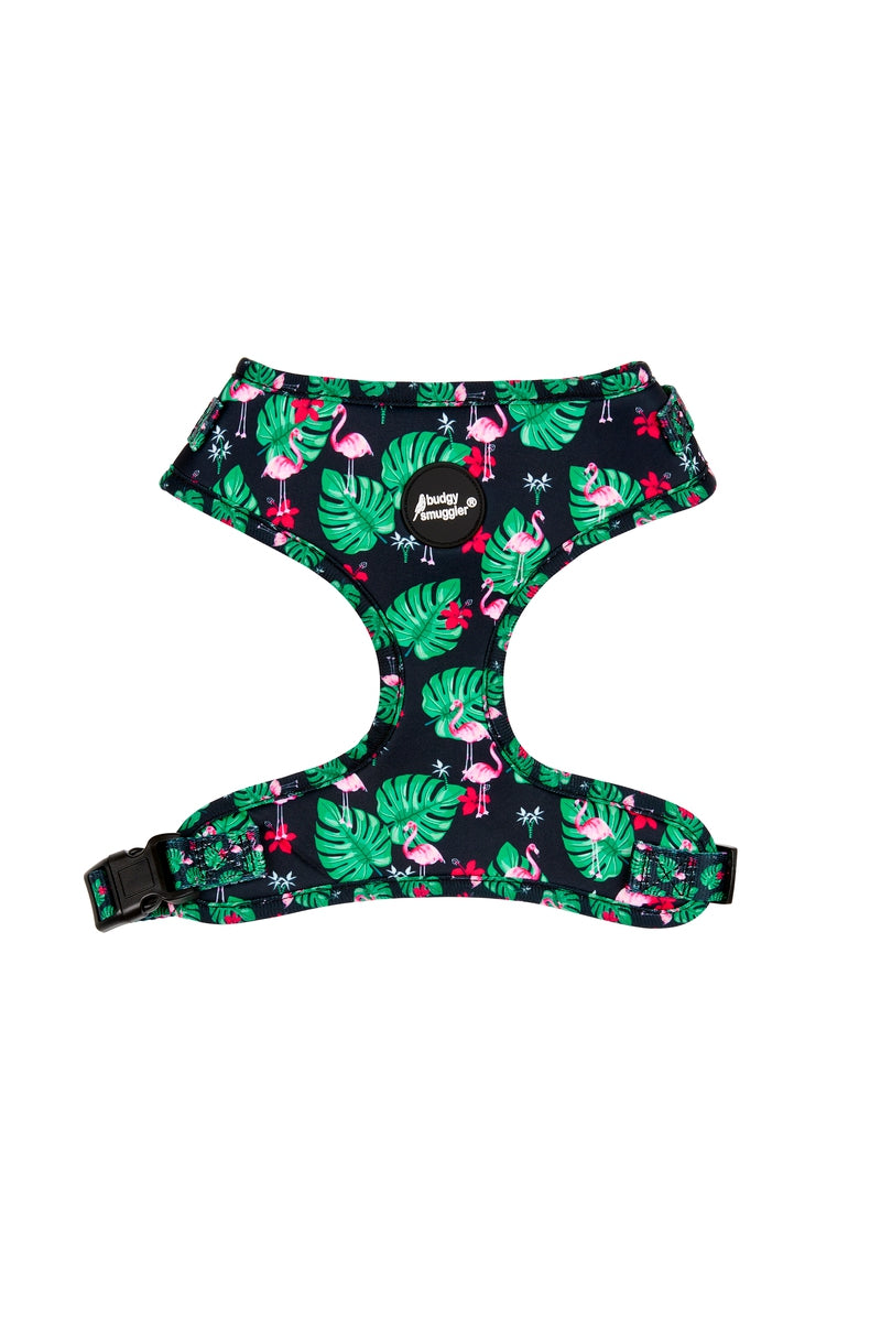 Adjustable Pet Harness in Flamingoes