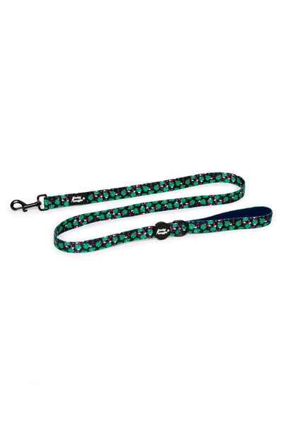 Leash for Pets in Flamingoes