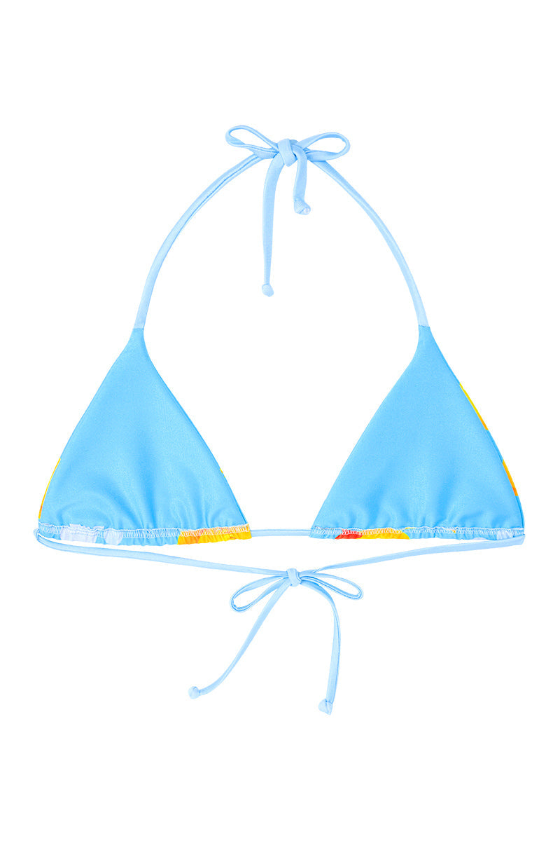 Tallow Triangle Top in Ducks