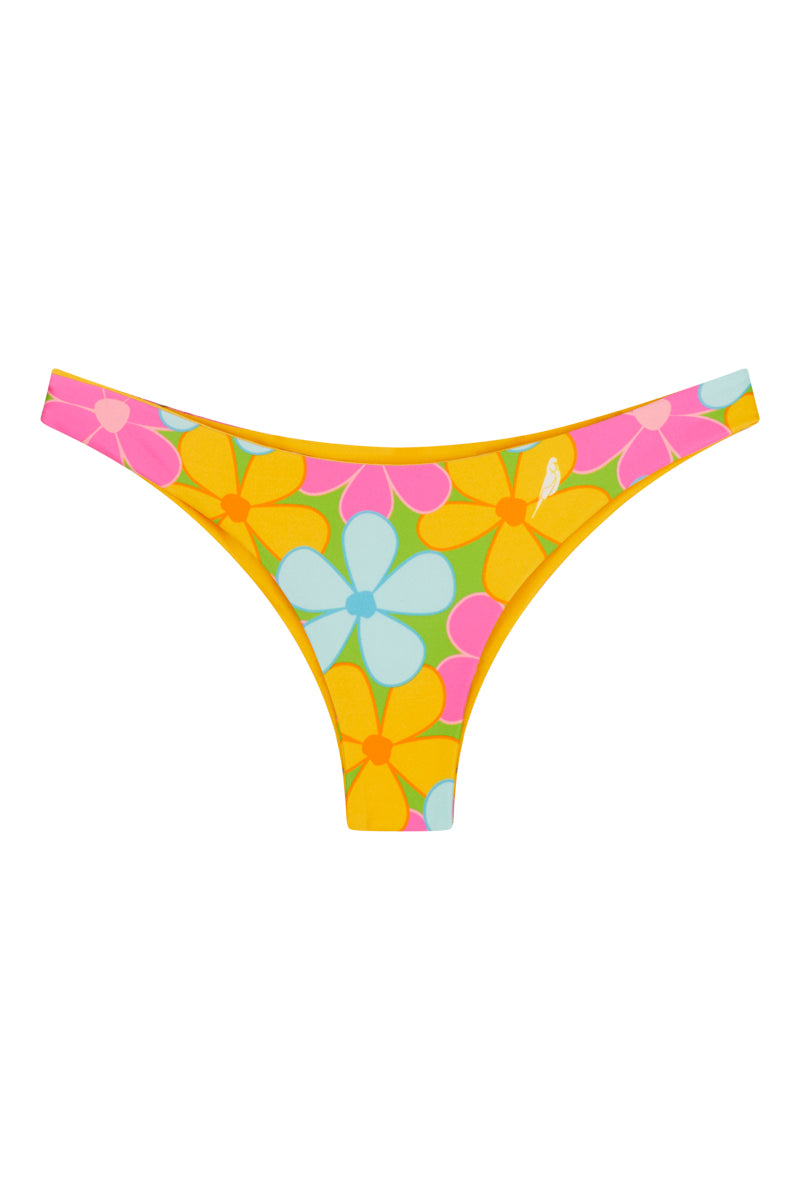 Budgy Smuggler France