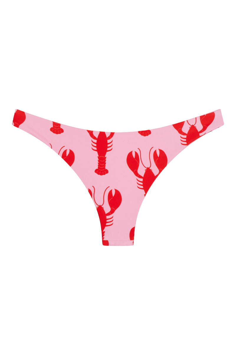 Budgy Smuggler France