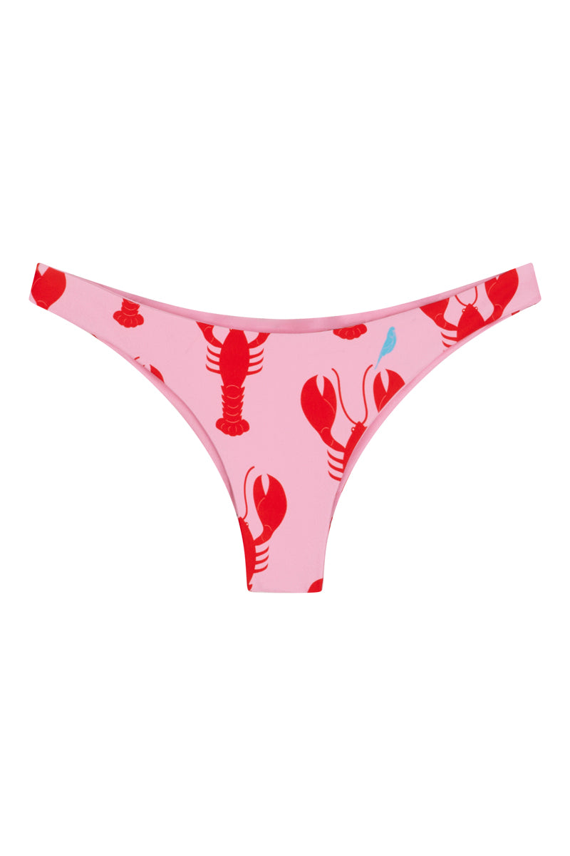 Budgy Smuggler France