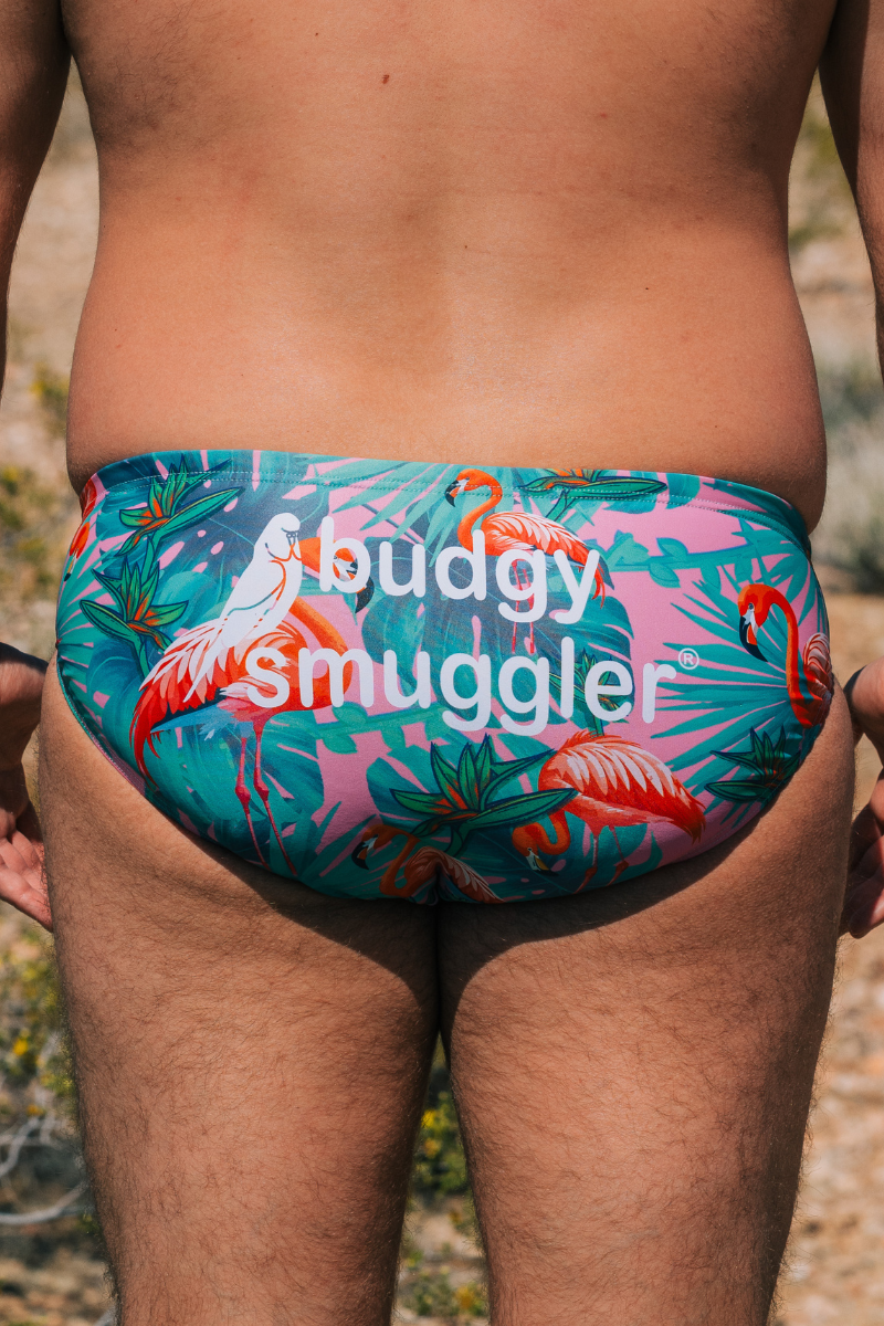 Budgy Smuggler France