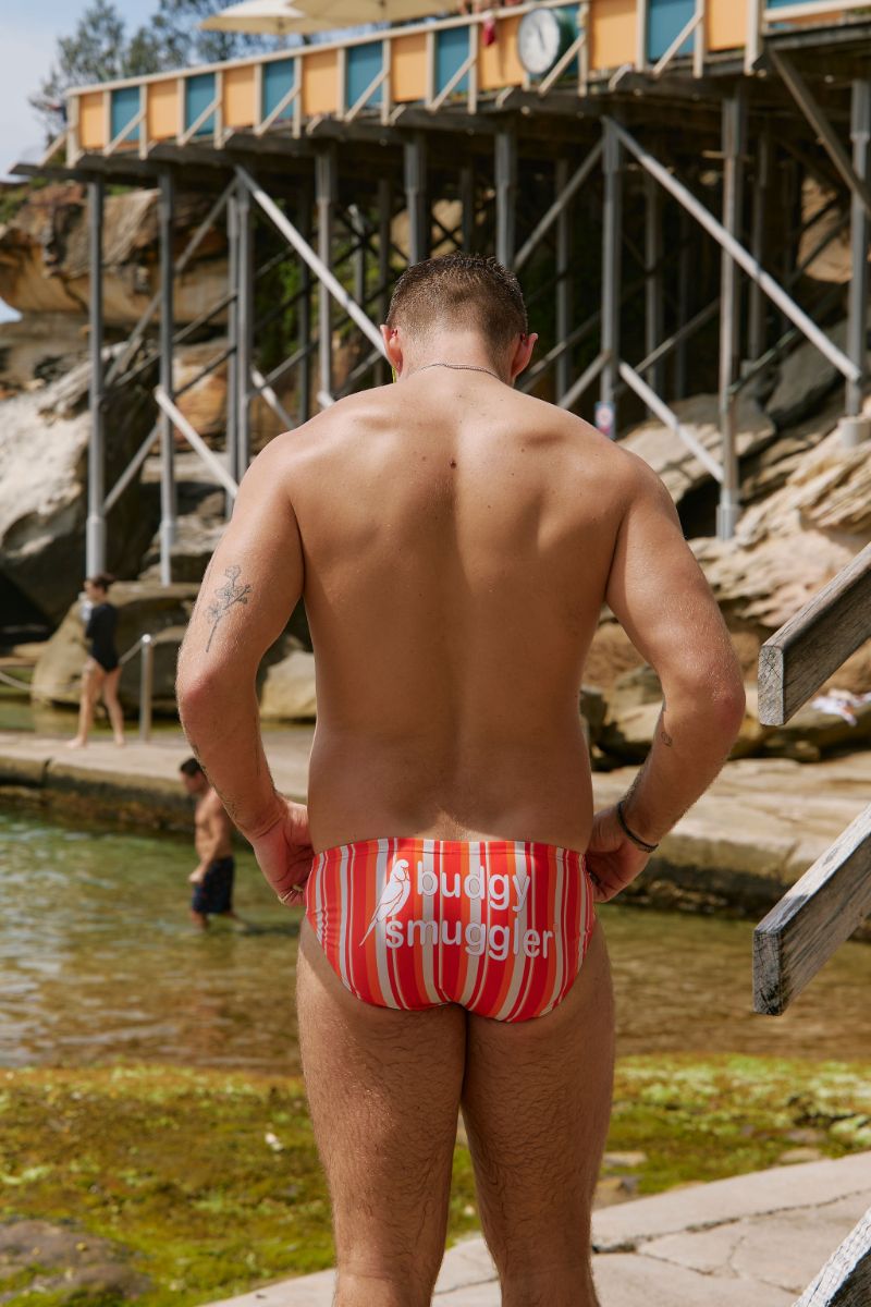 Orange Stripes