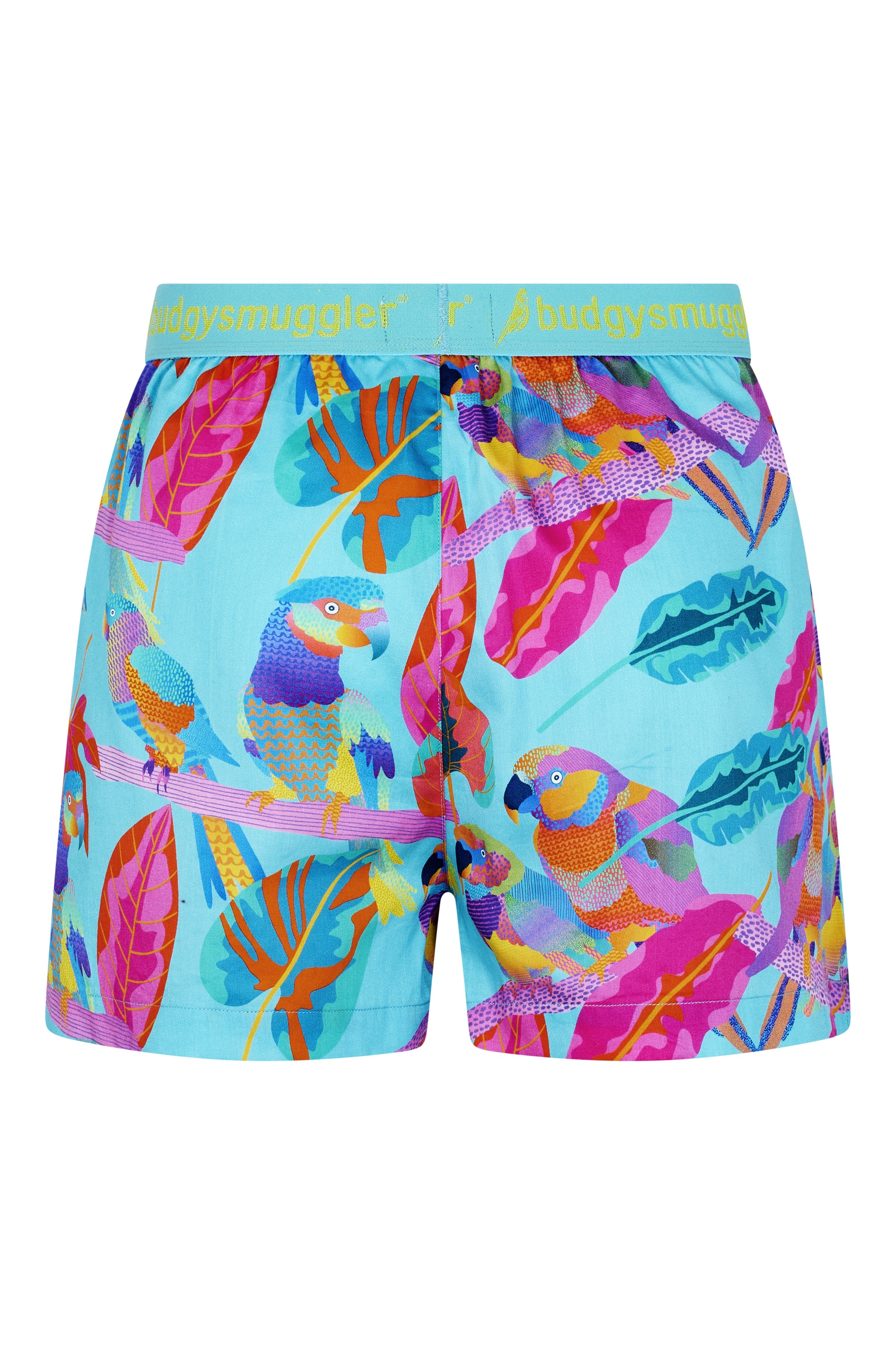 Budgy Smuggler France