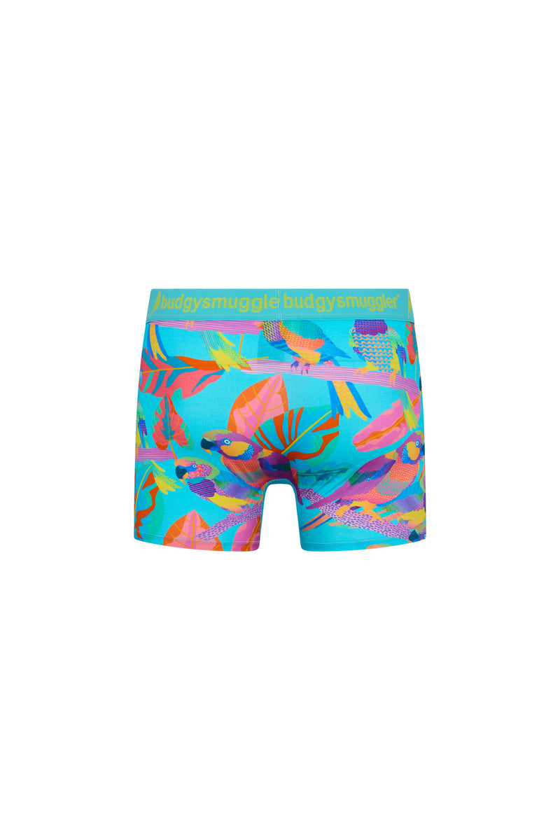 Boxer Premium (2.0) in Electro Parrots