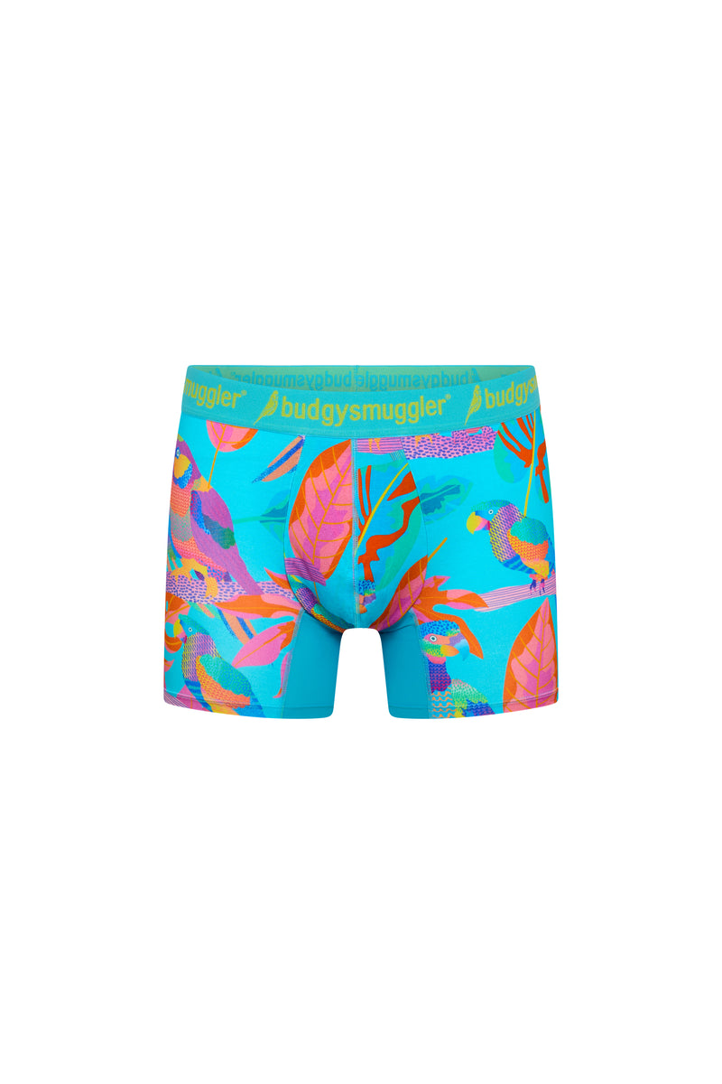 Boxer Premium (2.0) in Electro Parrots