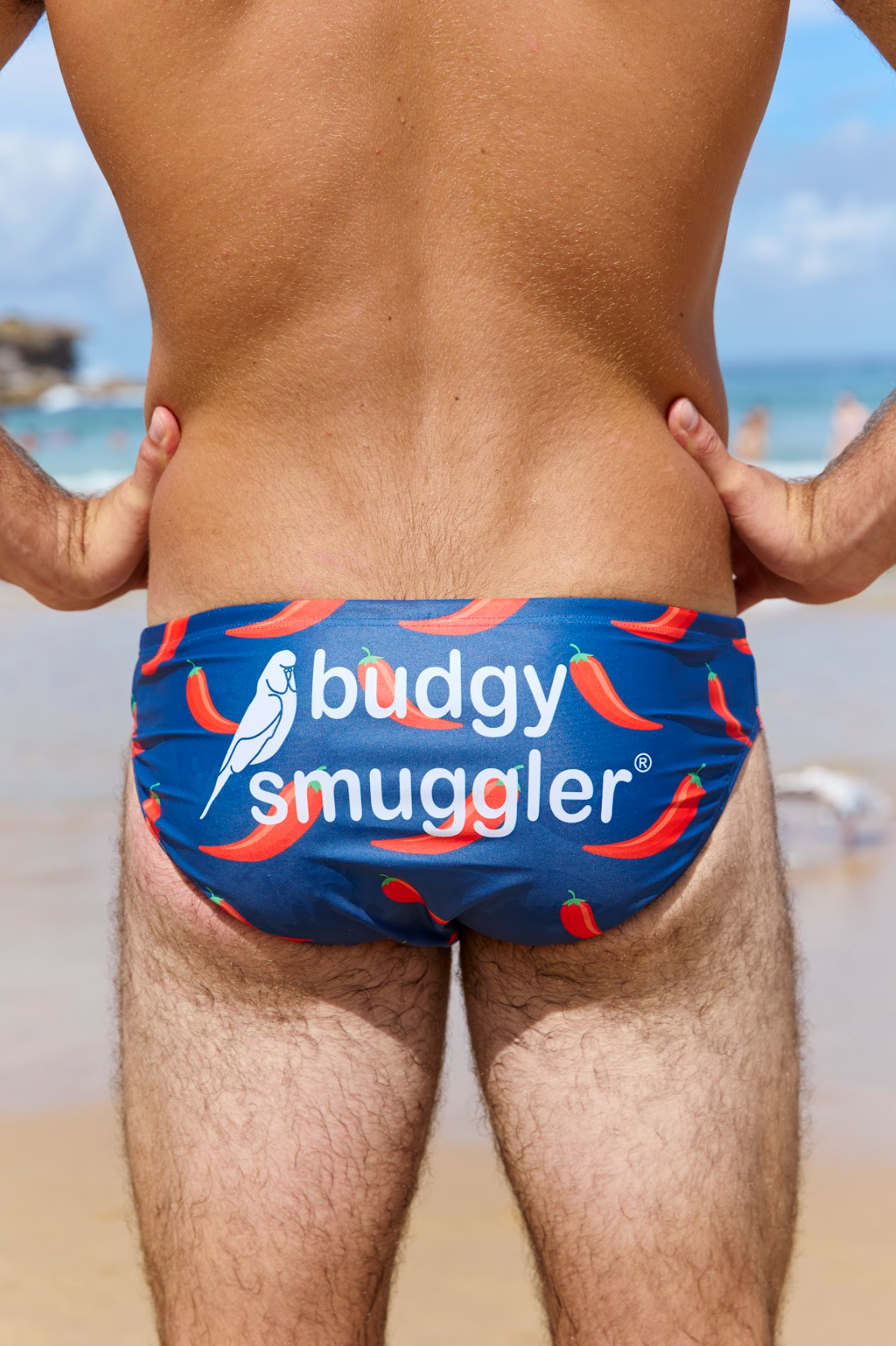 Budgy Smuggler France