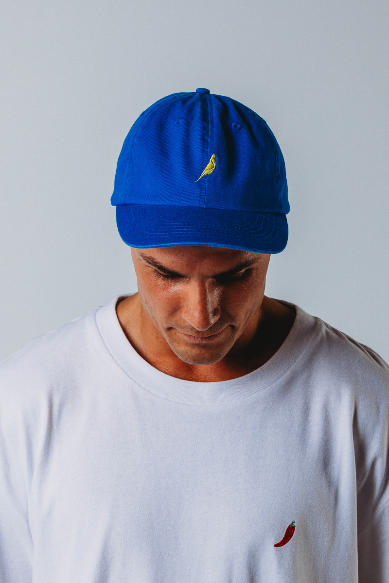 Casquette in Budgy Blue