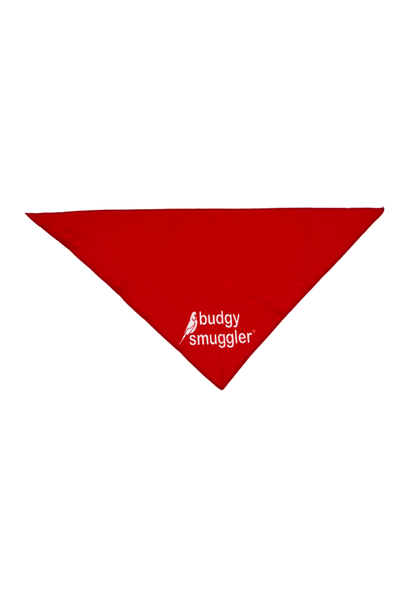 Budgy Smuggler France