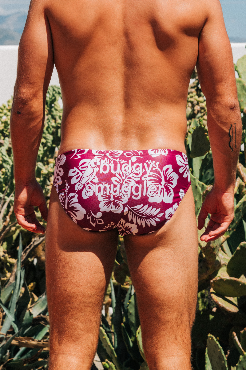 Budgy Smuggler France