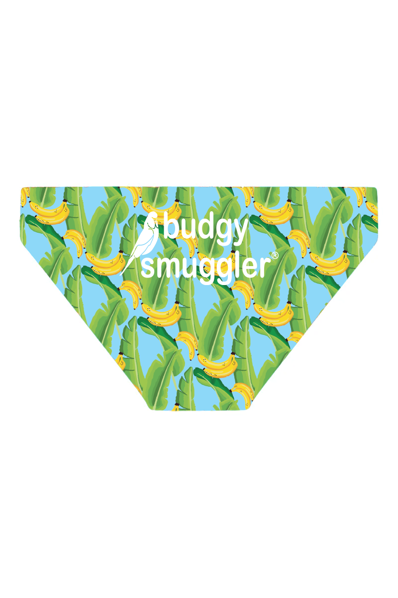 Budgy Smuggler France