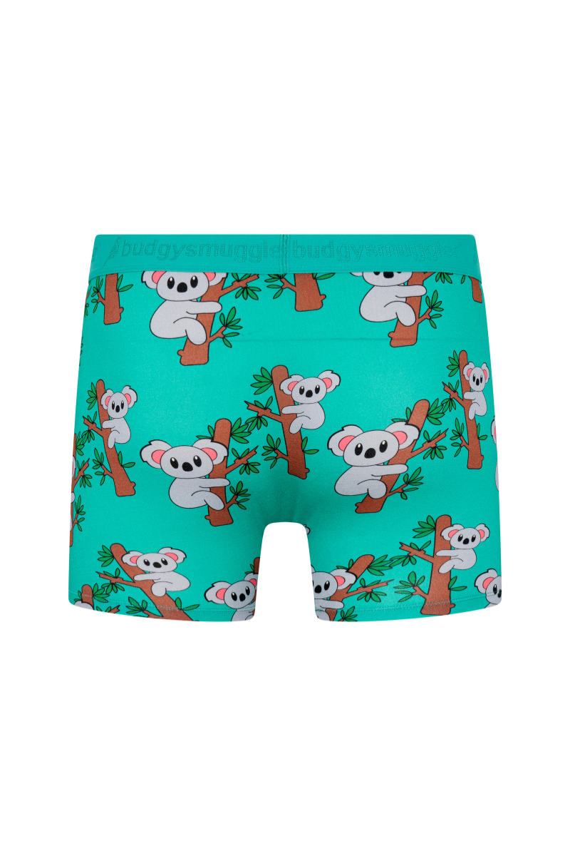 Premium Boxer (2.0) in Koala