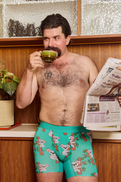 Boxer Premium (2.0) en Koala