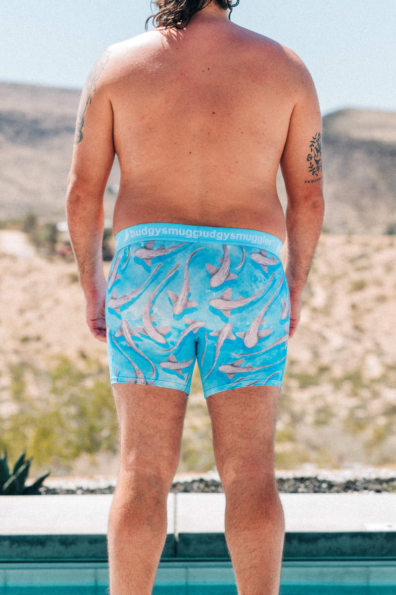 Budgy Smuggler France