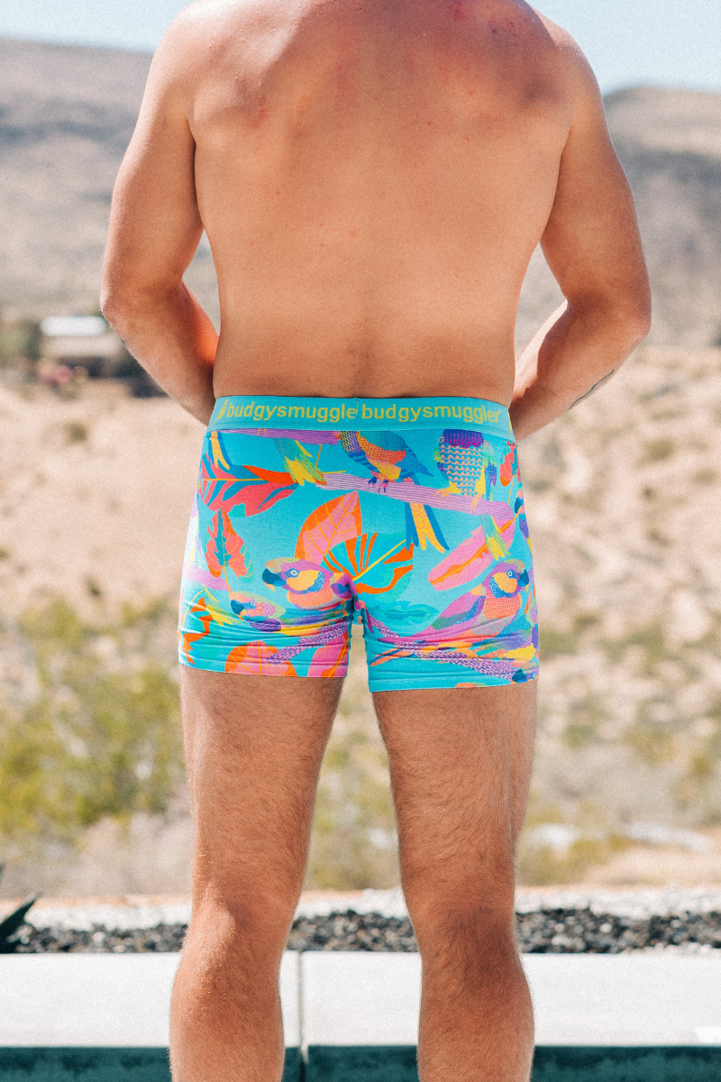 Budgy Smuggler France