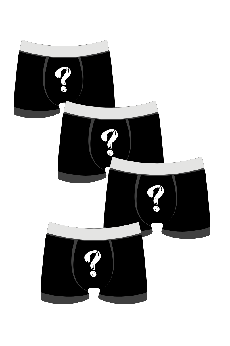 Budgy Smuggler France