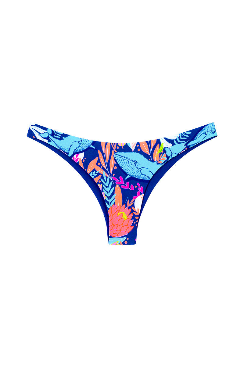 Bas Bronte en Baleines Bleues